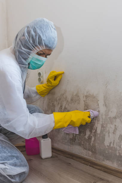 Best Residential Mold Inspection & Testing  in Lenexa, KS
