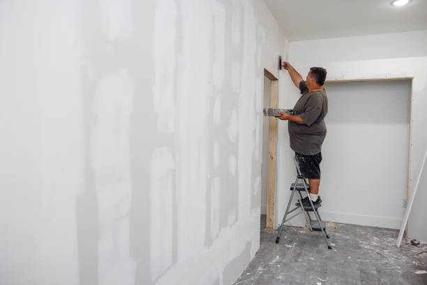 Environmental Consulting for Mold Prevention in Lenexa, KS
