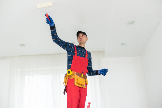 Asbestos and Lead Testing During Mold Inspection in Lenexa, KS