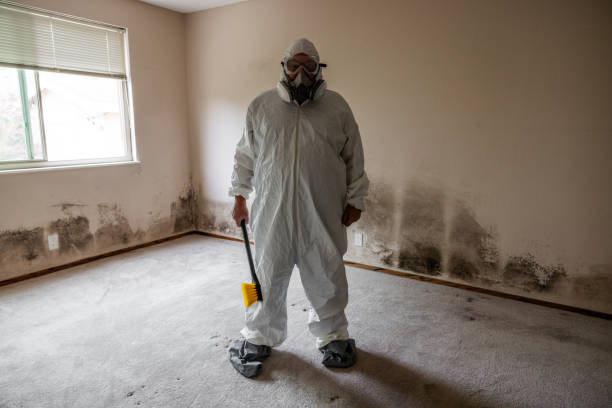Best Industrial Mold Remediation  in Lenexa, KS