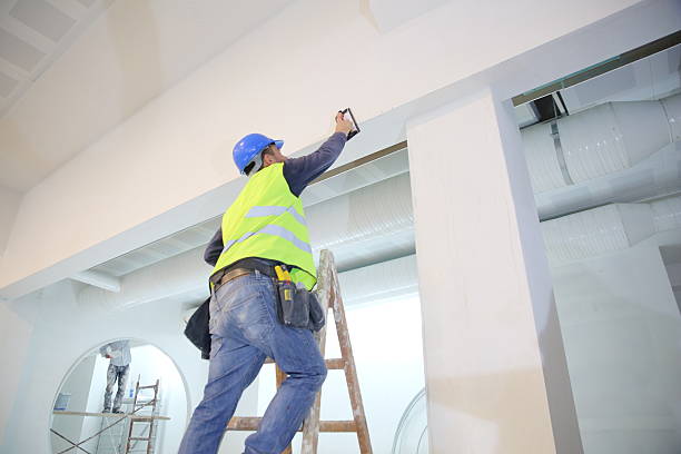 Best Air Quality Testing for Mold Spores  in Lenexa, KS